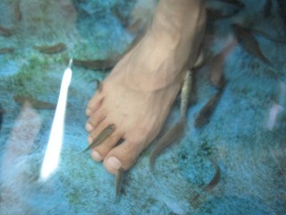 IMG_8203.jpg