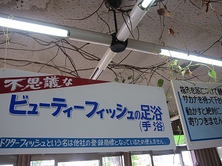 IMG_8209.jpg