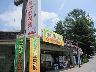 IMG_8246.jpg