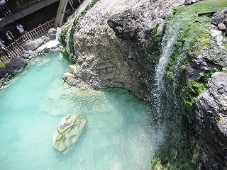 IMG_8253.jpg